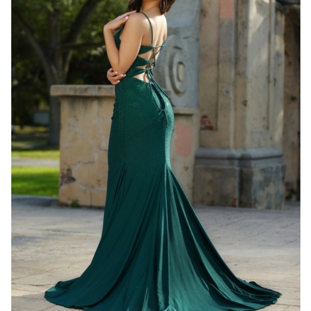 Lady Blacktie emerald floor length gown.